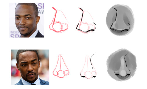 Thank You So Much!! Noses Can Be Tricky, But If You Simplify Them To Triangles And Circles, You’ll