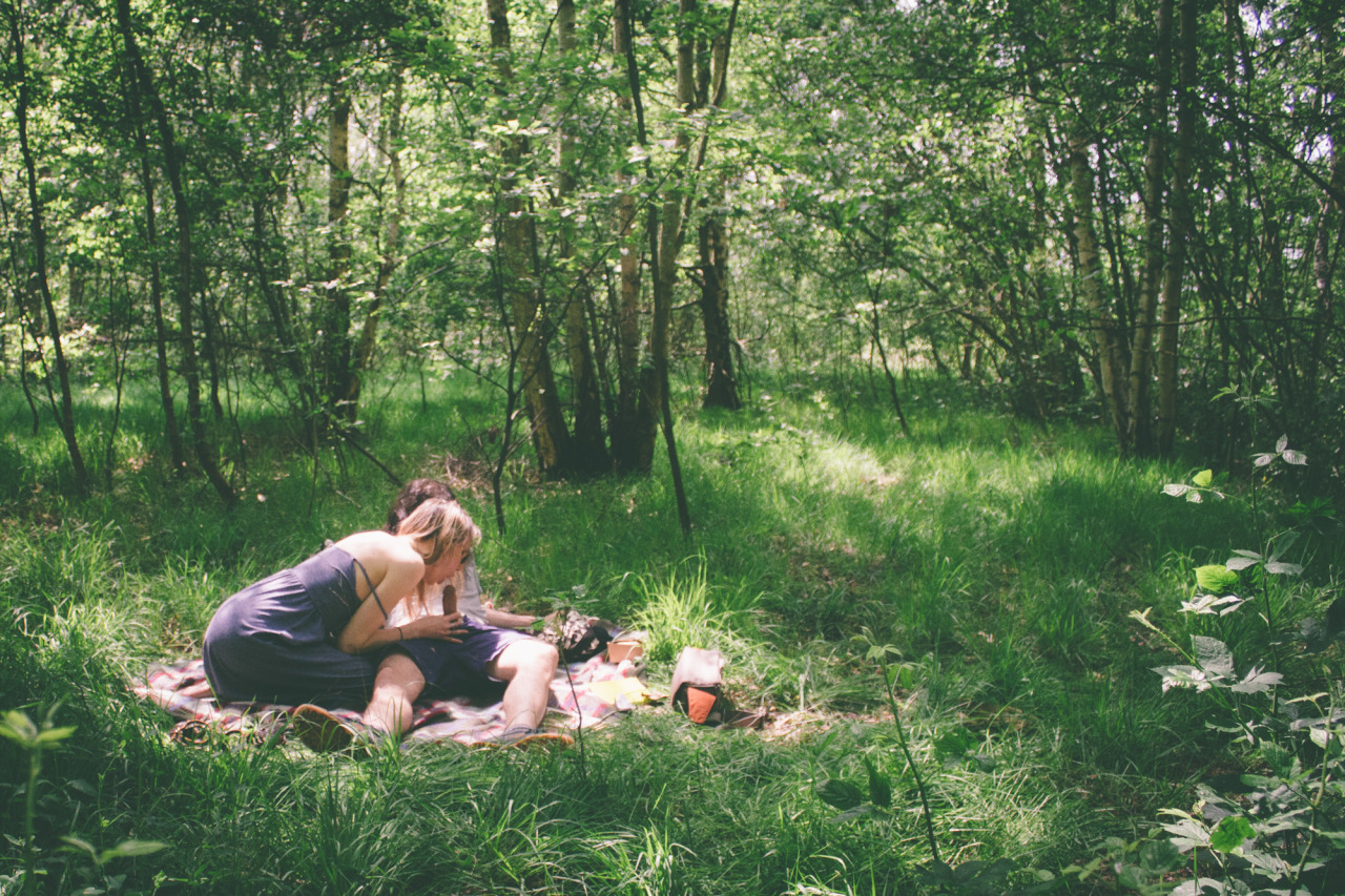 slide-2-unlock:  le déjeuner sur l'herbe / 2