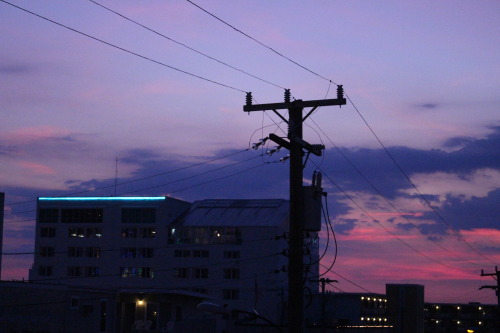 my only regret is not taking my camera onto the boardwalk 