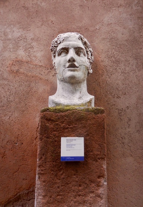 Testa colossale virile, marmo bianco, II Sec. d.c., Castel Sant’Angelo, Roma, 2017.