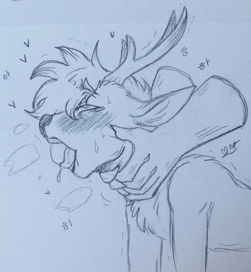 nippsthecat: maplespicedrum: me too buddyy  plz