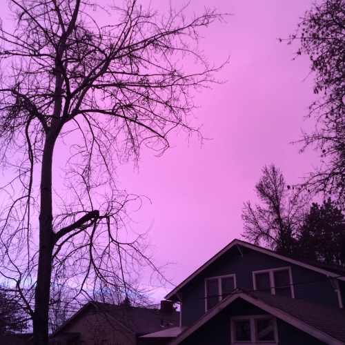 marcphun:What happened to the sky? // Finals week apocalypse