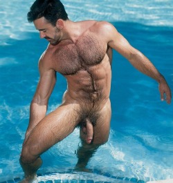 thetractorboi:  hairyhunky:thetractorboi