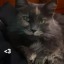 momomc