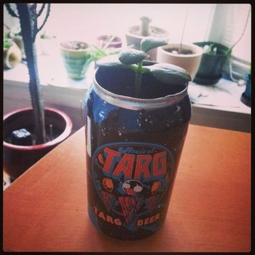 Ha! Stoked to see folks like @vallygator putting our TARG beer cans to good use at home - thanks for