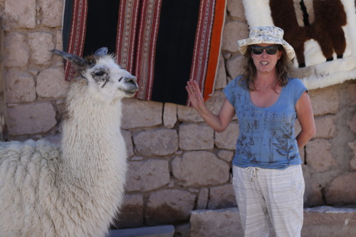 2016: San Pedro de Atacama is the most extraordinary place for any earth scientist. The beautiful st