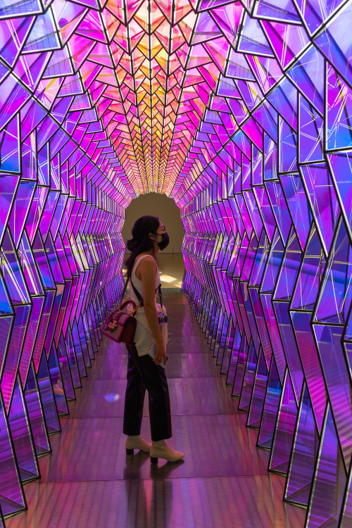 one-way colour tunnel, sf moma