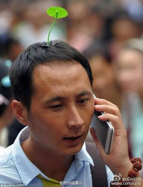 zkou:  cctvnews:  Bean sprout flowers are blossoming nationwide as over 100 kinds of hairpins with the plant design have become popular among the elderly and young. People wearing various bean sprout flowers on their head are forming a unique landscape.