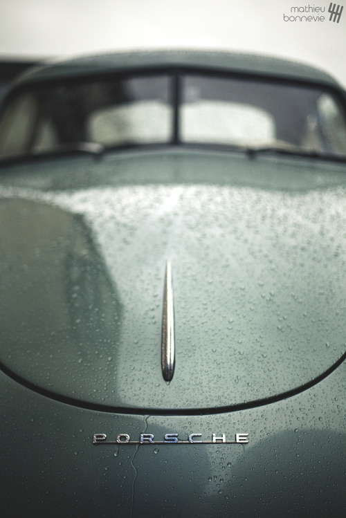 stayfr-sh:  Pre-A 1951