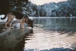 By Foot or By Canoe