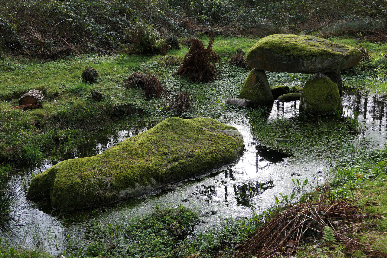 thesilicontribesman: Flooded Cromlech at Parc Glynllifon, North Wales, 16.2.18. It