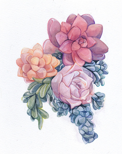 What can I say? I’m a sucker for succulents. They are amazingly relaxing to watercolor/draw/pa