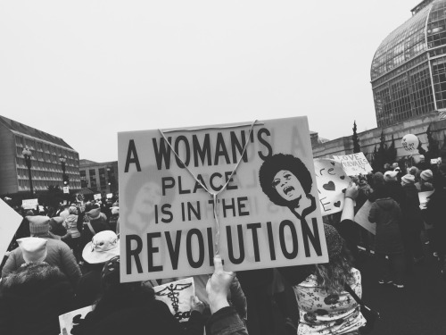 library-mermaid:Women’s March on Washington : Signs