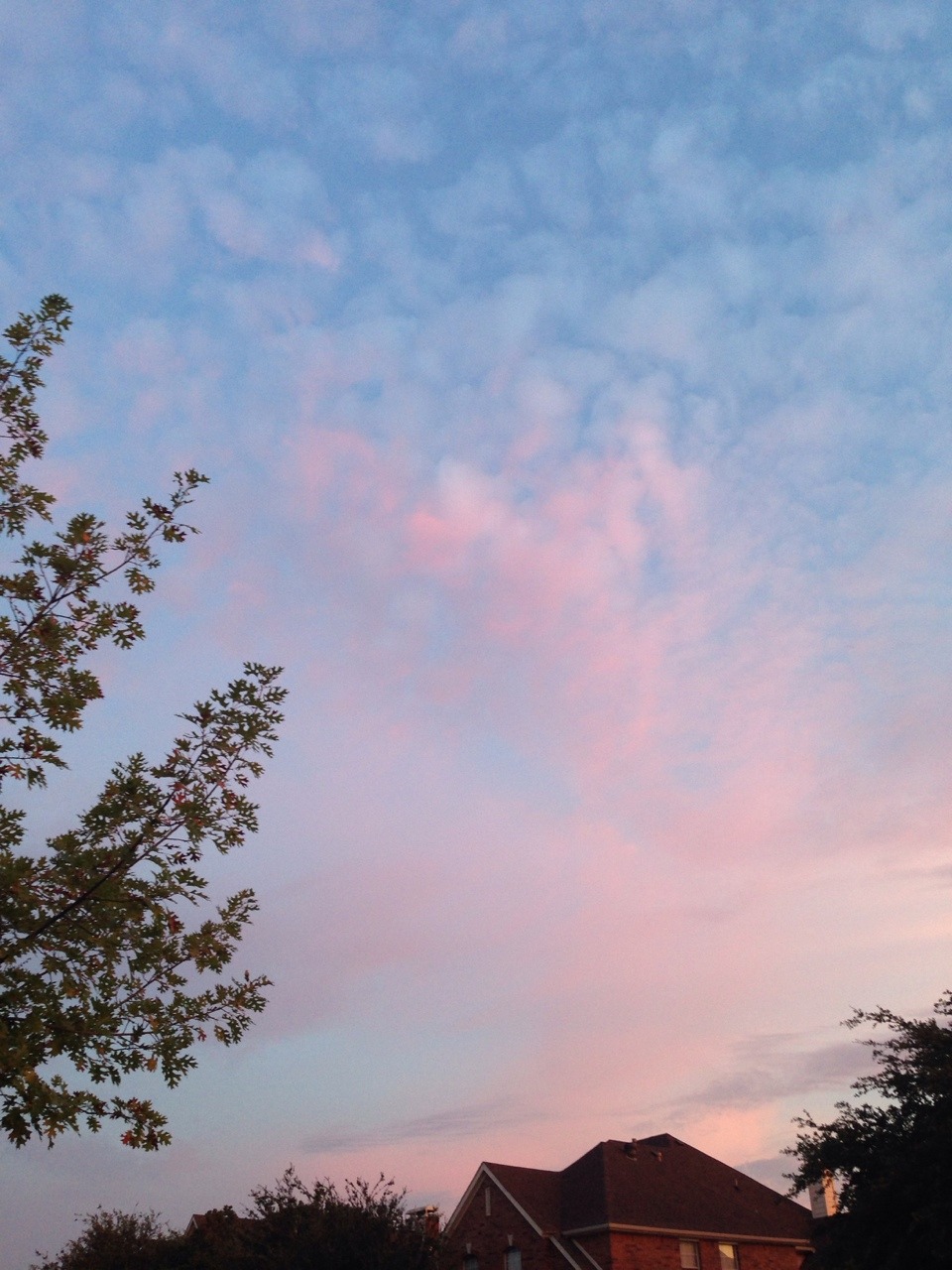 mirazel:  this was from a few mornings ago 