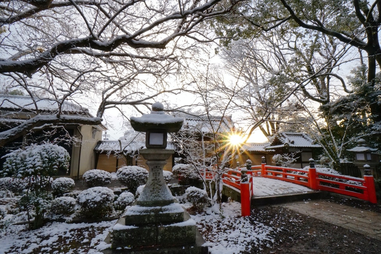 chitaka45:  京都 今宮神社 ❄️雪景色❄️2019.1.27 kyoto imamiyajinja