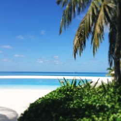 d-o-l-c-e:  Maldives/ Taken from Instagram/ Follow @rushhhhhh x 