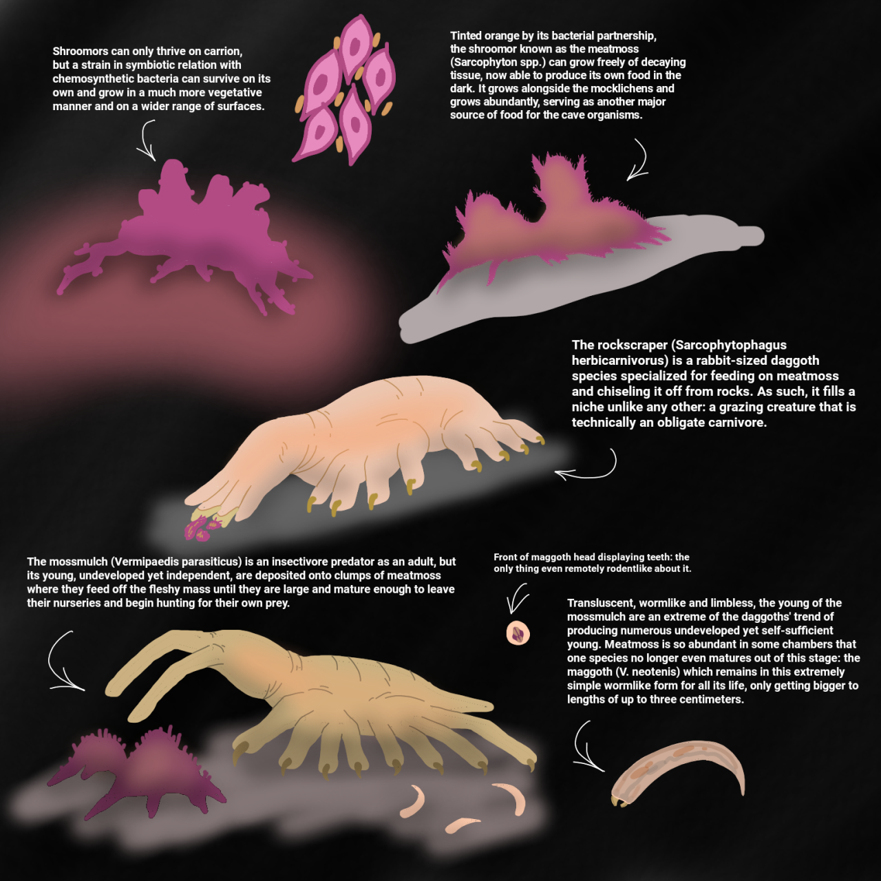 ceo of hamster evolution — The Early Rodentocene: 1-5 million years