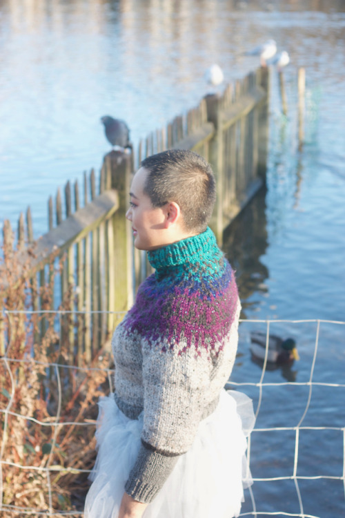 elodieunderglass:sliceofpearpie:I designed and made a pigeon jumper. My most recent resolved project