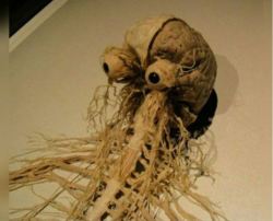 sixpenceee:The human nervous system.