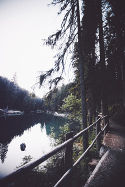 elenamorelli:  { forests and lakes }