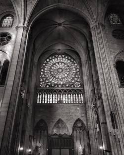 at Cathédrale Notre-Dame de Paris