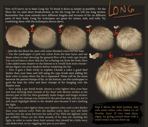 Source: Coyotemange