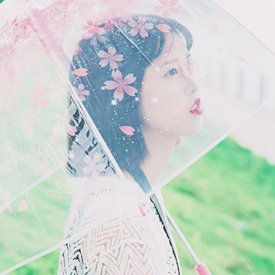 kaonoshi:Transparent Sakura UmbrellaDiscount Code : Joanna15 (15% off)