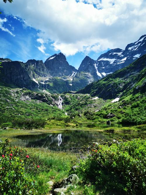 oneshotolive:Fulensee, Erstfeld, Uri, Switzerland [2021/07/10] [2736x3648][OC] : Philsick