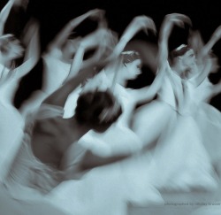 lasylphidedubolchoi:  Mikhailovsky’s Giselle Photo by Nikolai Krusser 