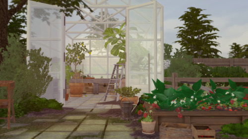 indoorsim:late summer vibes … Loving this so much ♥