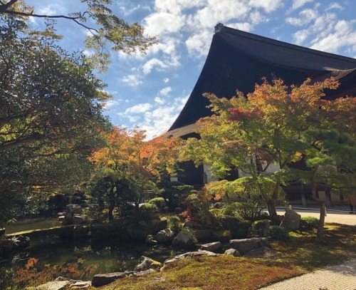 ＼おにわさん更新情報／ ‪[ 京都市東山区 ] 知恩院方丈庭園 Chion-in Temple Hojo Garden, Kyoto の写真・記事を更新しました。 ーー浄土宗総本山に建つ #国宝 「御