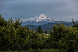 sitoutside:   Mt Hood, Oregon   by  Justin_Watts