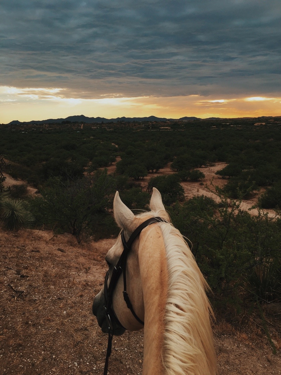 tolackcolour:  Quite the view..