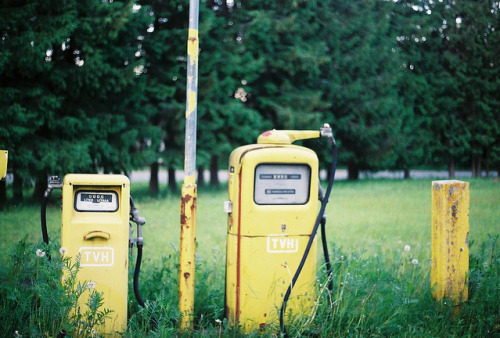 greentreeleaf:looks like a scene from an old movie by laura olljum