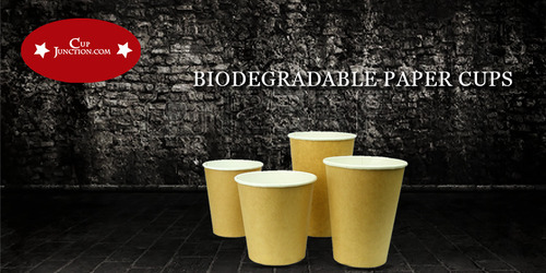 Biodegradable Paper Cups