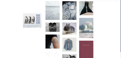 “Denim” -Theme number seventeen Features: Picture background for sidebar Small posts Sha