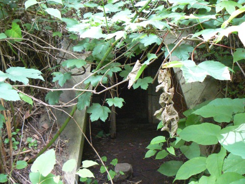 pupatansky: SPOOKY PICS  ✧ Fort Wadsworth, New York