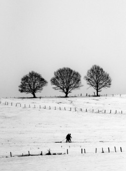 bluesundrops:  Bastogne Historic Walk 2010: