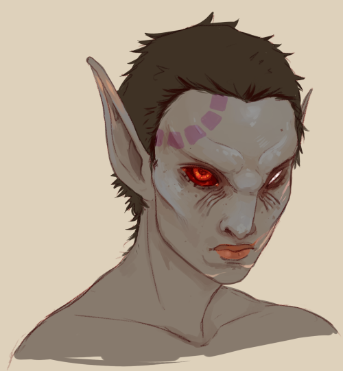 liquidsnakesucks: I have fallen into the trap of playing skyrim again U_U. My dragonborn was raised 