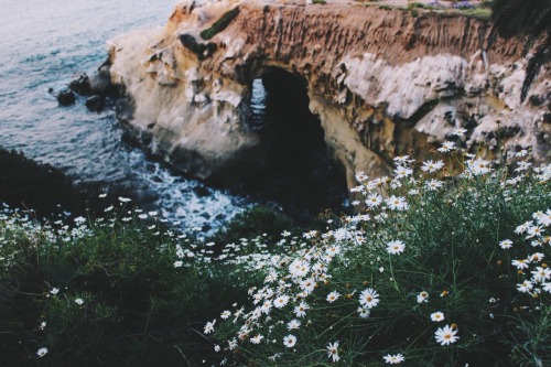 abrvhm: Carlsbad & San Diego, Ca.