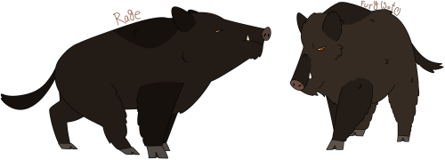 [Image Description: A digital drawing of two boars. The one on the right is dark brown. They both ha