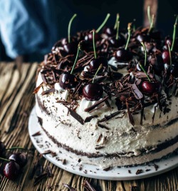 cakesofcakess: