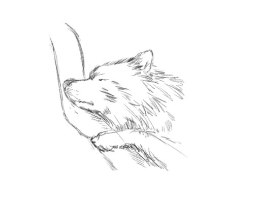 15min sketch