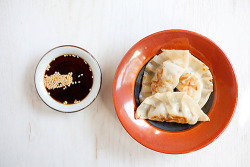 fattributes:  Pork and Shiitake Gyoza 