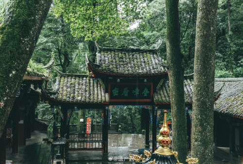 fuckyeahchinesegarden:  青城山, qingcheng mountain, sichuan province by 遗产君