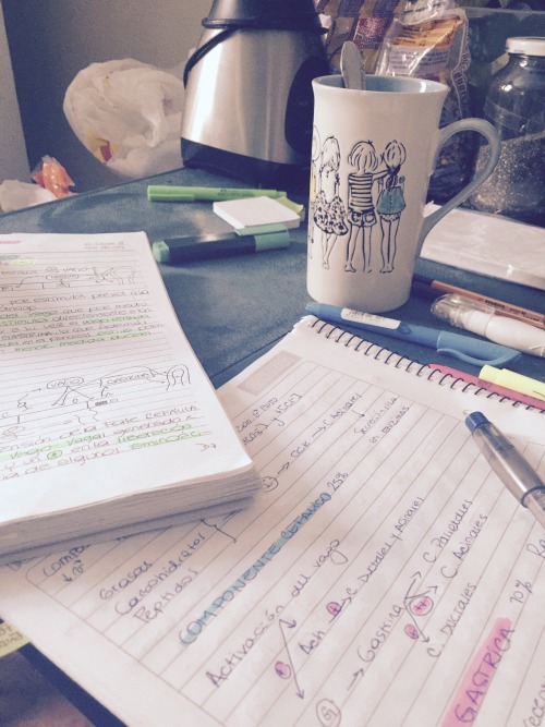 Studyblr
