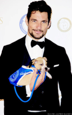 david-james-gandy:  David & Dogs  cute