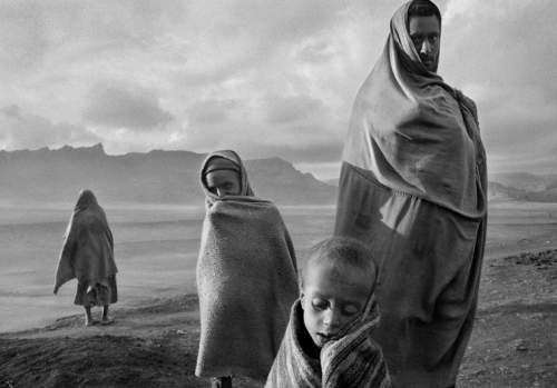 kateoplis:From The Salt of the Earth, a film by Wim Wenders & Juliano Ribeiro Salgado, celebrating the stunning photography of Sebastião Salgado.