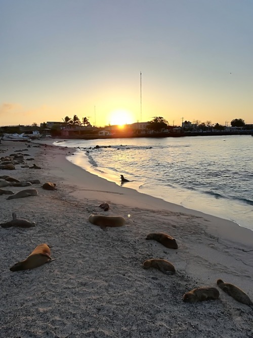 San Cristobal - Galapagos