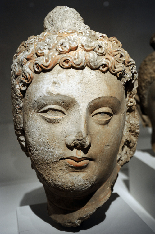 Buddha (1st–2nd century).Indo-Greek Buddhist art from Gandhara (present-day Afghanistan and Pakistan